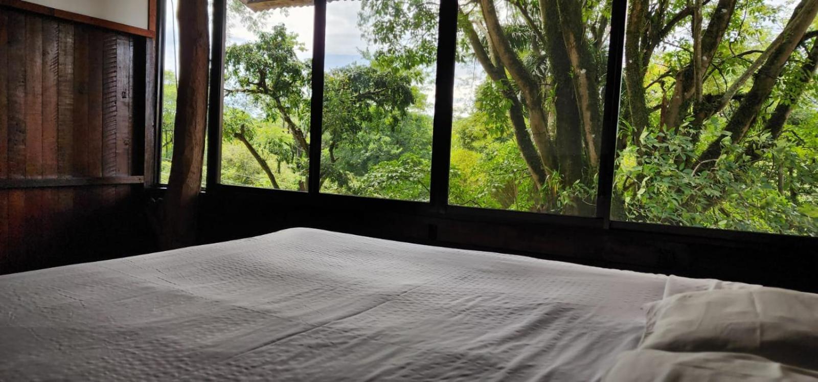 Hostel Plinio Manuel Antonio Exterior photo